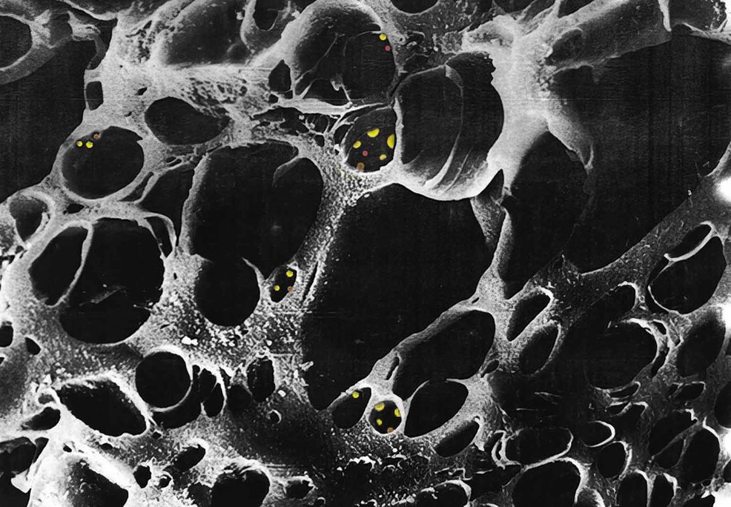 تخلخل های درون کربن اکتیو